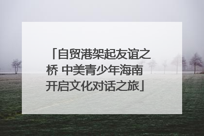 自贸港架起友谊之桥 中美青少年海南开启文化对话之旅