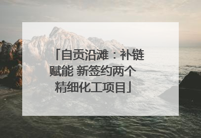 自贡沿滩：补链赋能 新签约两个精细化工项目