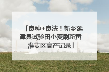 良种+良法！新乡延津县试验田小麦刷新黄淮麦区高产记录