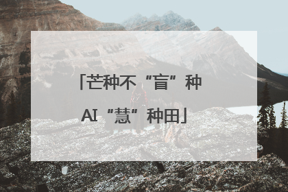 芒种不“盲”种 AI“慧”种田