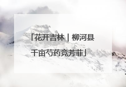 花开吉林｜柳河县千亩芍药竞芳菲