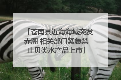 苍南县近海海域突发赤潮 相关部门紧急禁止贝类水产品上市