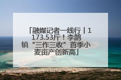 融媒记者一线行丨1173.53斤！李鹊镇“三作三收”首季小麦亩产创新高
