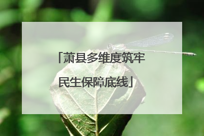 萧县多维度筑牢民生保障底线