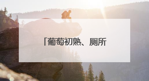 葡萄初熟、厕所变新，武汉这个小村湾有点不一样