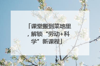 课堂搬到菜地里，解锁“劳动+科学”新课程
