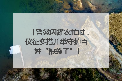 警徽闪耀农忙时，仪征多措并举守护百姓“粮袋子”