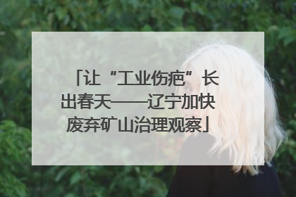 让“工业伤疤”长出春天——辽宁加快废弃矿山治理观察
