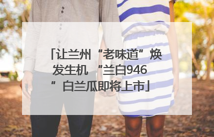 让兰州“老味道”焕发生机 “兰白946”白兰瓜即将上市