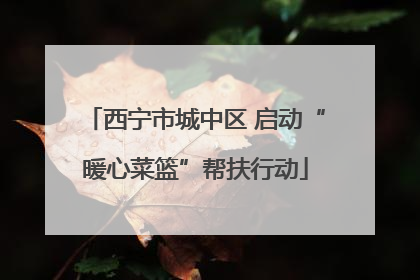西宁市城中区 启动“暖心菜篮”帮扶行动