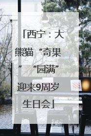 西宁：大熊猫“奇果”“园满”迎来9周岁生日会