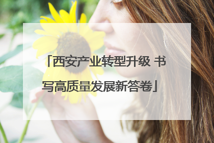 西安产业转型升级 书写高质量发展新答卷