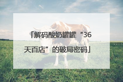 解码酸奶罐罐“36天百店”的破局密码