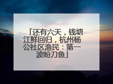 还有六天，钱塘江鲜回归，杭州杨公社区渔民：第一波盼刀鱼
