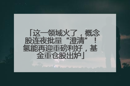 这一领域火了，概念股连夜批量“澄清”！氢能再迎重磅利好，基金重仓股出炉