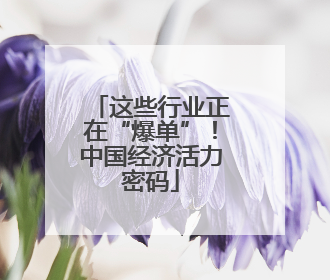 这些行业正在“爆单”！中国经济活力密码