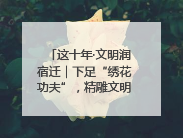 这十年·文明润宿迁｜下足“绣花功夫”，精雕文明城市品质