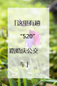 这里有趟“520”路婚庆公交车