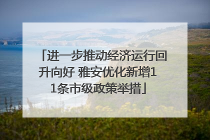 进一步推动经济运行回升向好 雅安优化新增11条市级政策举措