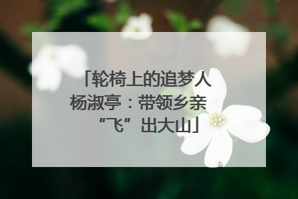 轮椅上的追梦人杨淑亭：带领乡亲“飞”出大山