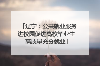 辽宁：公共就业服务进校园促进高校毕业生高质量充分就业