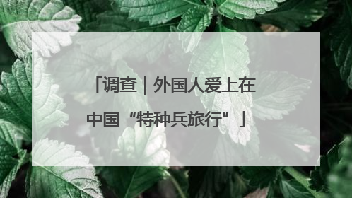 调查｜外国人爱上在中国“特种兵旅行”