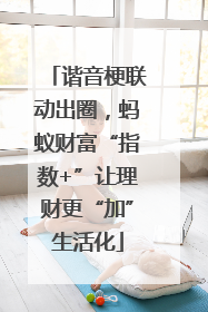 谐音梗联动出圈，蚂蚁财富“指数+”让理财更“加”生活化