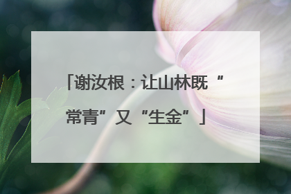 谢汝根：让山林既“常青”又“生金”