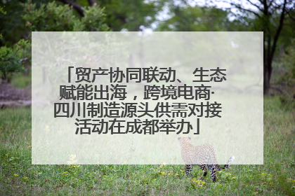 贸产协同联动、生态赋能出海，跨境电商·四川制造源头供需对接活动在成都举办