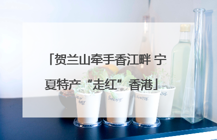 贺兰山牵手香江畔 宁夏特产“走红”香港