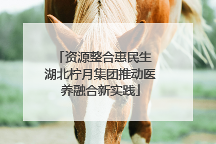 资源整合惠民生 湖北柠月集团推动医养融合新实践