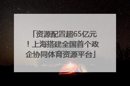 资源配置超65亿元！上海搭建全国首个政企协同体育资源平台