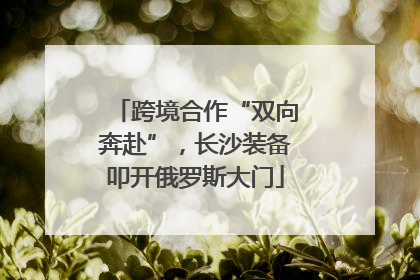 跨境合作“双向奔赴”，长沙装备叩开俄罗斯大门