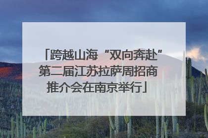 跨越山海“双向奔赴” 第二届江苏拉萨周招商推介会在南京举行
