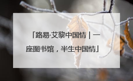 路易·艾黎中国情｜一座图书馆，半生中国情