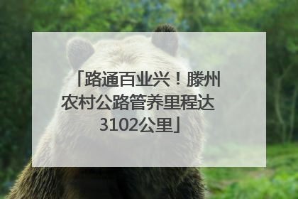 路通百业兴！滕州农村公路管养里程达3102公里
