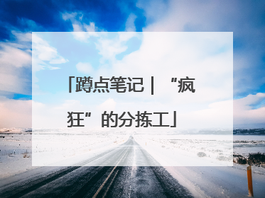 蹲点笔记｜“疯狂”的分拣工