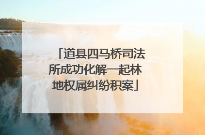 道县四马桥司法所成功化解一起林地权属纠纷积案