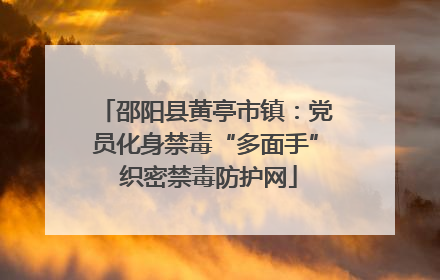 邵阳县黄亭市镇：党员化身禁毒“多面手” 织密禁毒防护网