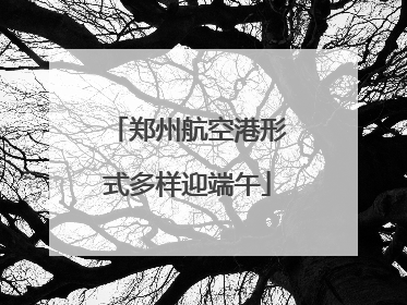 郑州航空港形式多样迎端午