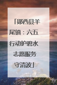 郧西县羊尾镇：六五行动护碧水 志愿服务守清波