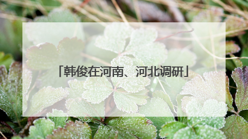 韩俊在河南、河北调研