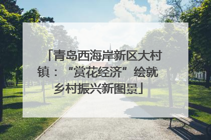 青岛西海岸新区大村镇：“赏花经济”绘就乡村振兴新图景