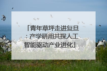 青年草坪走进复旦：产学研用共探人工智能驱动产业进化