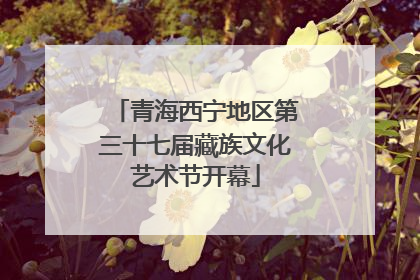 青海西宁地区第三十七届藏族文化艺术节开幕