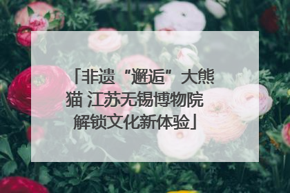 非遗“邂逅”大熊猫 江苏无锡博物院解锁文化新体验