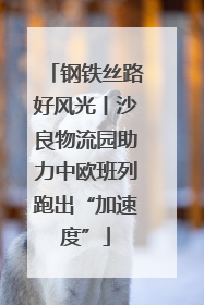 钢铁丝路好风光丨沙良物流园助力中欧班列跑出“加速度”