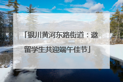 银川黄河东路街道：邀留学生共迎端午佳节