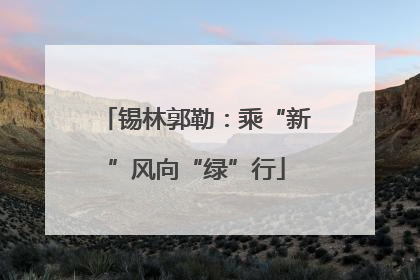 锡林郭勒：乘“新”风向“绿”行