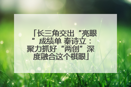 长三角交出“亮眼”成绩单 秦诗立：聚力抓好“两创”深度融合这个棋眼
